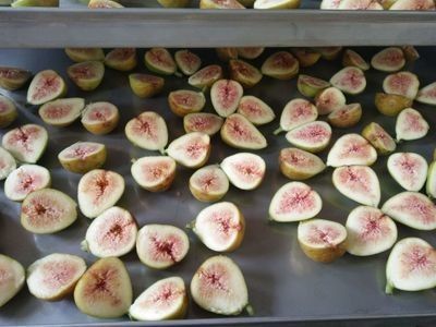 เครื่องผลไม้อบแห้งแช่แข็งสแตนเลสอุตสาหกรรม