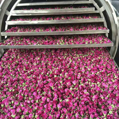 เครื่องผลไม้อบแห้งแช่แข็งสแตนเลสอุตสาหกรรม